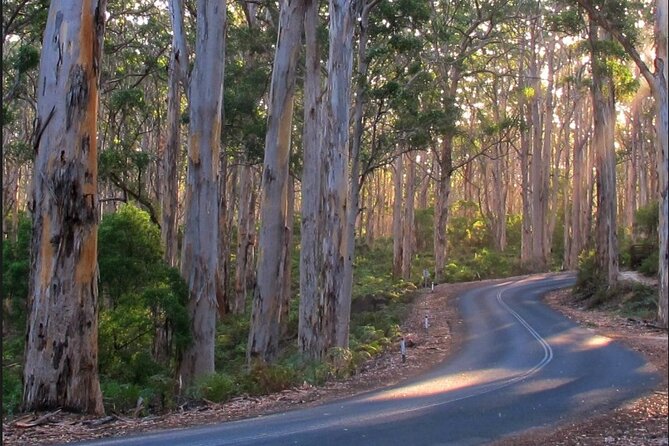 1 Day Margaret River Sightseeing Tour from Perth - Getting from Perth: pickup, small-group rhythm, and early start