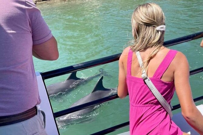 1 Hour Deluxe Scenic Dolphin Cruise - Comfort on Board: What Small-Group Really Means