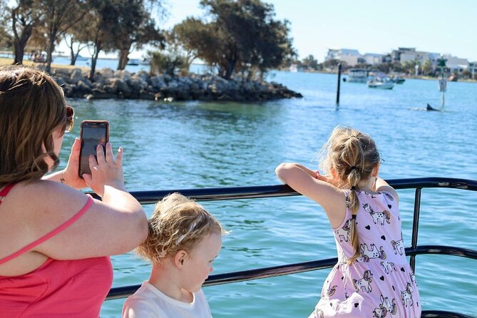 1 Hour Deluxe Scenic Dolphin Cruise - Price and Value: Is $27.26 Worth It?