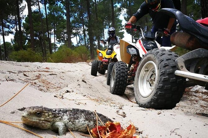 1 Hour Quad Bike Tours, only 30 minutes from Perth - Key things I’d write on a sticky note