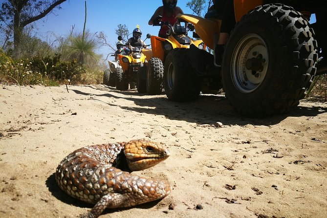 1 Hour Quad Bike Tours, only 30 minutes from Perth - Should you book Perth Quad Bike Tours near Perth?