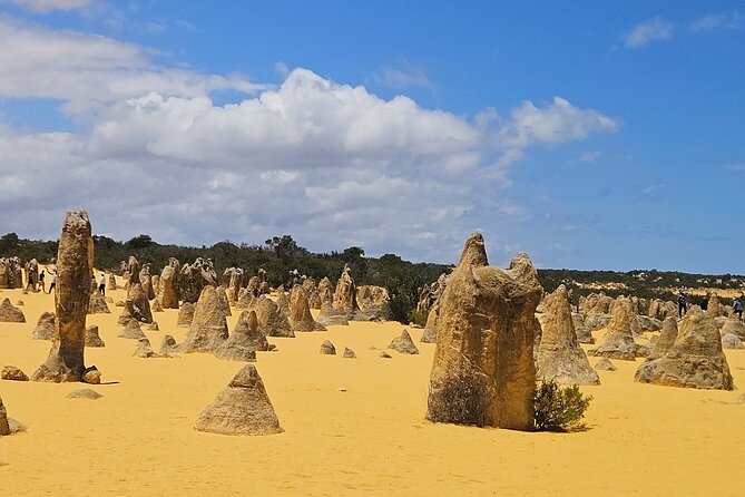 2 Days One Night Tour at Pink Lake Natures Window and Pinnacles - What’s included (and what’s not) for a fair-value view