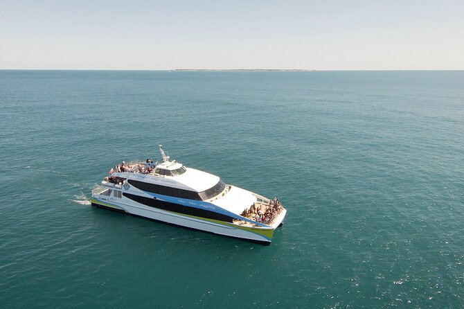 2 Hour Whale-Watching Cruise from Hillarys Boat Harbour - Quick take: what matters most