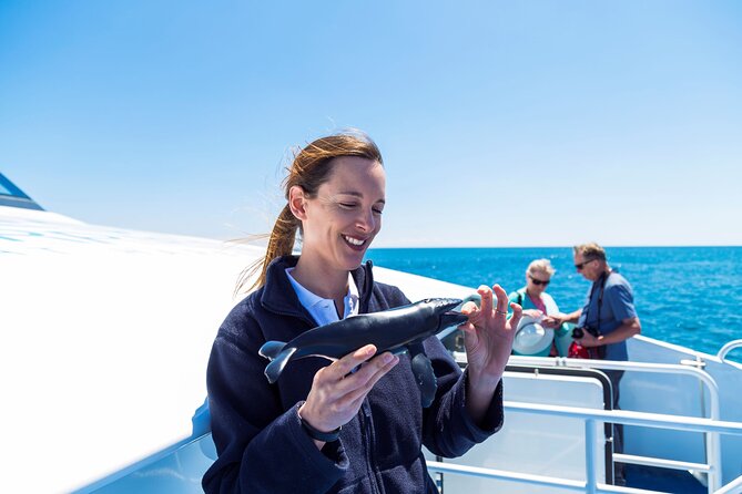 2 Hour Whale-Watching Cruise from Hillarys Boat Harbour - Hillarys Boat Harbour: your easy launch pad north of Perth