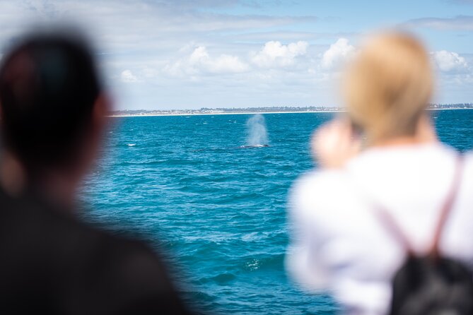 2 Hour Whale-Watching Cruise from Hillarys Boat Harbour - Motion, sea sickness, and what to pack for the Indian Ocean
