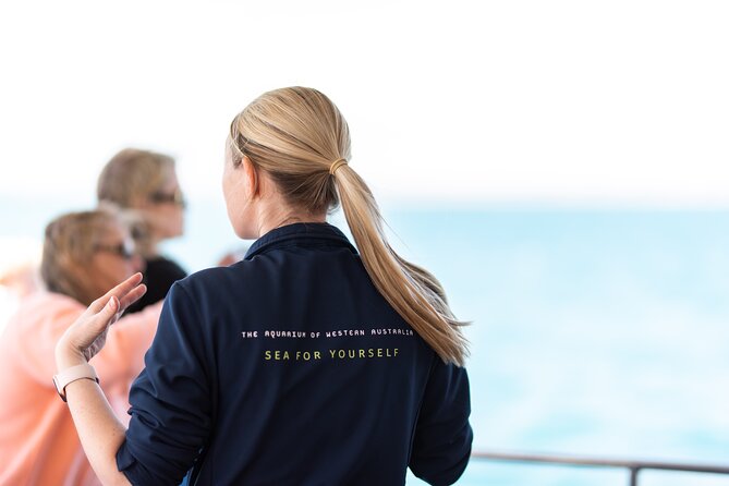 2 Hour Whale-Watching Cruise from Hillarys Boat Harbour - Hillarys after the cruise: using your 30 minutes on land well