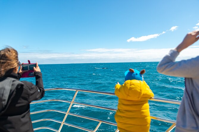 2 Hour Whale-Watching Cruise from Hillarys Boat Harbour - Price and value: is $55.94 worth it?