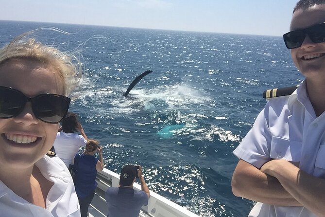 2 hour whale watching experience departing Hillarys Boat Harbour - Getting to the Boat Harbour: Where You Meet and What to Expect