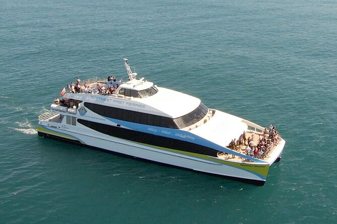 2 hour whale watching experience departing Hillarys Boat Harbour - The Marine Scientist Onboard: Making the Sighting Click