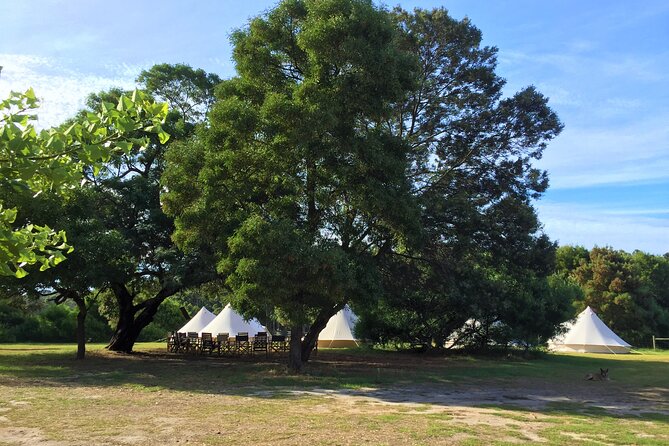 3 Day Margaret River Yoga Wellness Glamping Adventure From Perth - Guides and the feel of the group: why it helps to travel with a plan