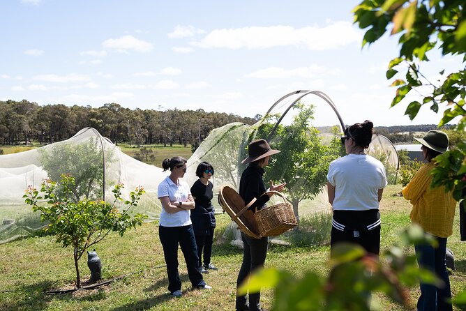 3 Day Margaret River Yoga Wellness Glamping Adventure From Perth - Practical tips before you go (so the days feel easy)