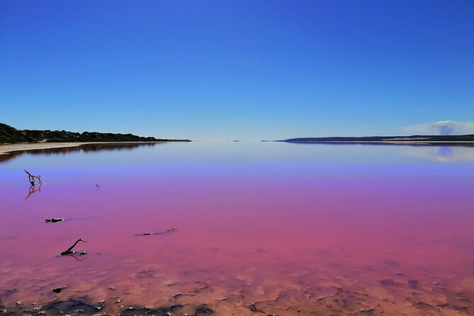 3 Day Pink Lake and Margaret River tour - Day 1: Lancelin Sand Dunes, Cervantes lobster, Pink Lake, and Kalbarri’s Natural Bridge