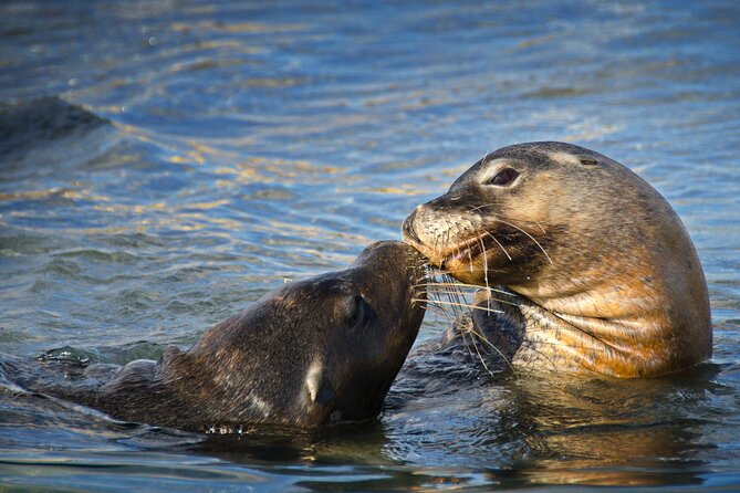 3 Island Wildlife Snorkel - What the boat time feels like: scenic views, then snorkeling again