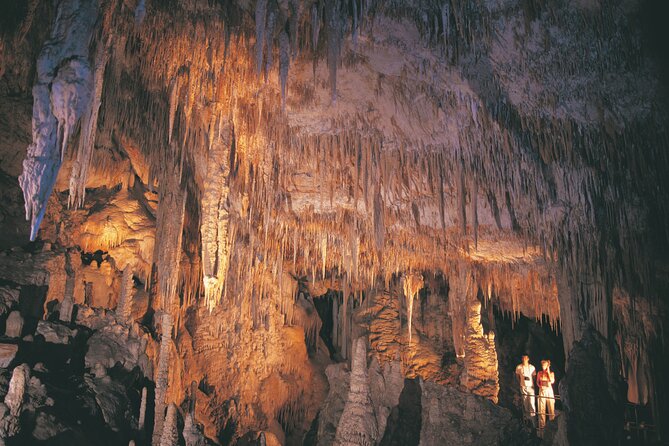 4 Day Albany Margaret River, Valley of the Giants Tour from Perth - Meals included: why that matters (and when it can feel limiting)