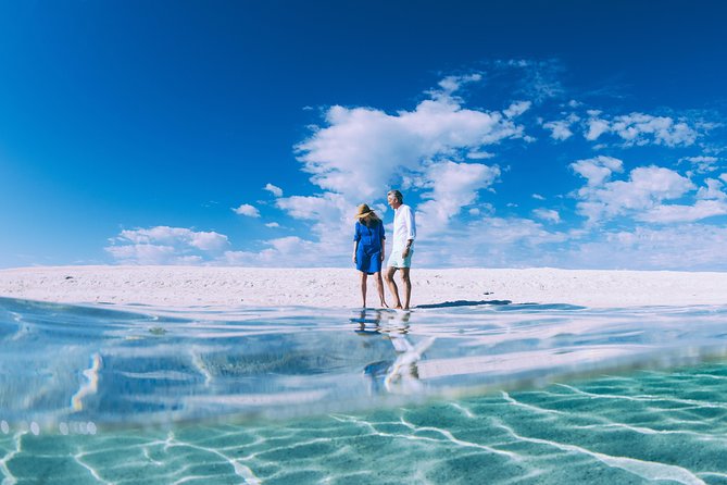 4-Day Monkey Mia Dolphins Pink Lake Pinnacles Comfort-Level Tour - The Shark Bay-style afternoon: Eagle Bluff with sharks and turtles