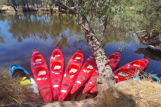 4 Hours Swan Valley Kayak, Wine & Dine Experience - Why Four Hours Works for the Swan Valley