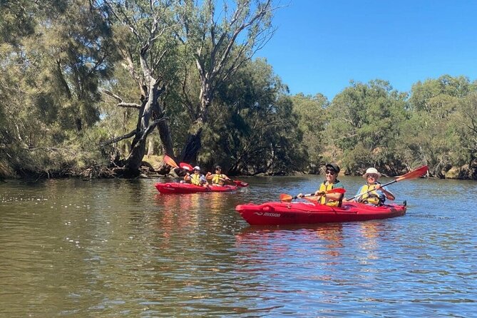 4 Hours Swan Valley Kayak, Wine & Dine Experience - Stop 1 on the Swan River: Paddling Past Vineyards and Farmland
