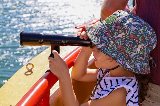 90 Minute Midweek Pirate Ship Scenic Cruise - The foreshore and the Moreton Bay fig tree from the pirate ship