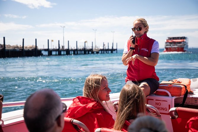 Adventure Rottnest Tour with Ferry & Adventure Cruise - The wildlife cruise: what you’re likely to see and why the pace helps