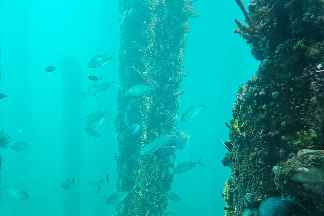 Busselton Jetty and Underwater Observatory - Key Highlights You’ll Feel (Not Just See)