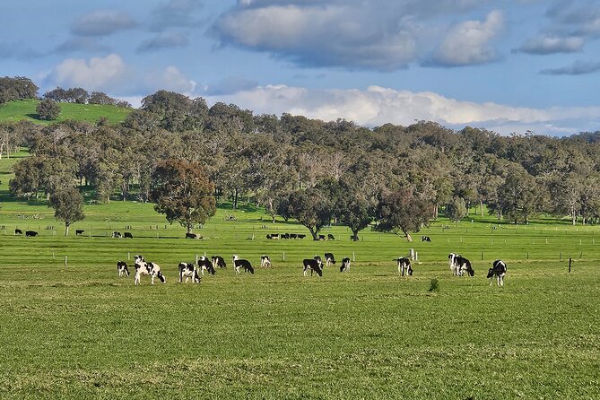 Busselton Jetty and Underwater Observatory - The Trip Back Through Dairy Country: Brunswick, Wokalup, and Harvey Cheese