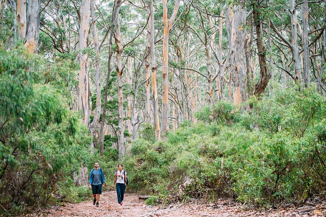 Busselton, Margaret River and Augusta 2-Day Tour from Perth - Key things that make this tour worth considering