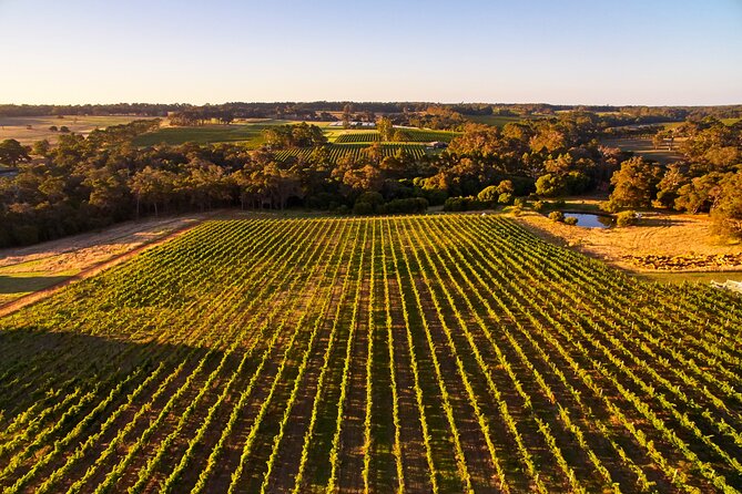 Busselton, Margaret River and Augusta 2-Day Tour from Perth - The Big Picture: Two Days, Four Stops that Cover a Lot of WA