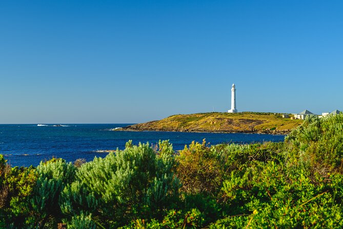 Busselton, Margaret River and Augusta 2-Day Tour from Perth - Boranup Karri Forest: a short forest pause with big-tree energy