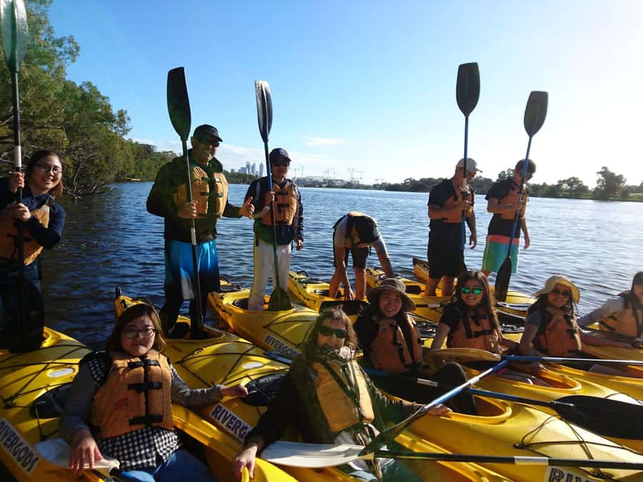 Canning River Half-Day Kayak Wildlife Tour - Best Time to Go for Birds: Morning vs Afternoon