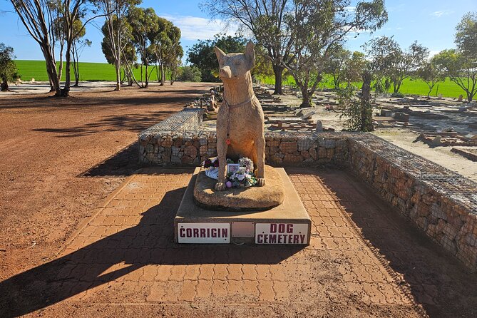 Day Tour in Wave Rock and Mulka's Cave - Wheatbelt towns, Old Dog Cemetery, and the wildflower 4 km track