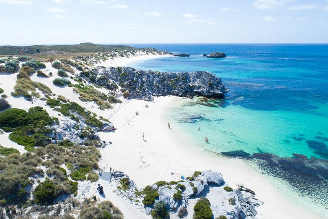 Discover Rottnest with Ferry & Bus Tour - Ferry from Perth or Fremantle: the ride sets the tone