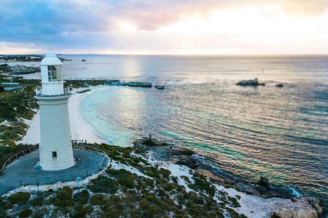 Discover Rottnest with Ferry & Bus Tour - The 90-minute coach loop: how you get the story behind the views