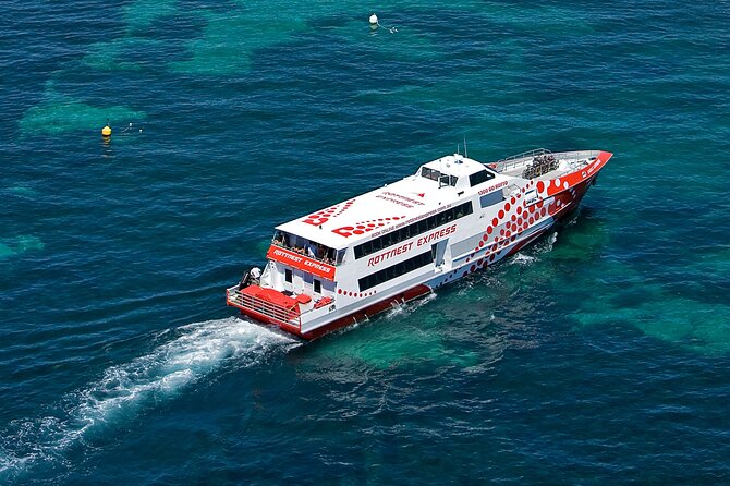 Discover Rottnest with Ferry & Bus Tour - Best match: who this Rottnest ferry-and-bus tour fits