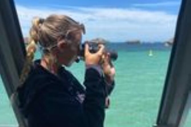 Dolphin, Sea Lion and Penguin Island Cruise - If the boat has glass panels: what to check before you rely on it