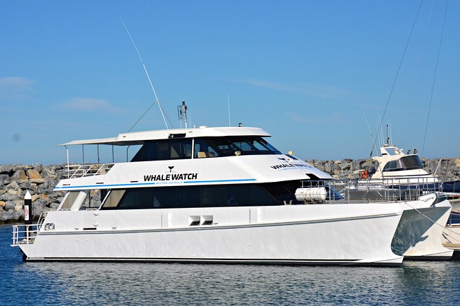 Educational Whale Watching Tour from Perth - Key things I’d circle before you go