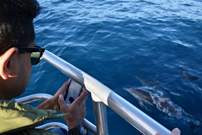 Educational Whale Watching Tour from Perth - Whale watching success tips: how to stack the odds on a 2-hour hunt