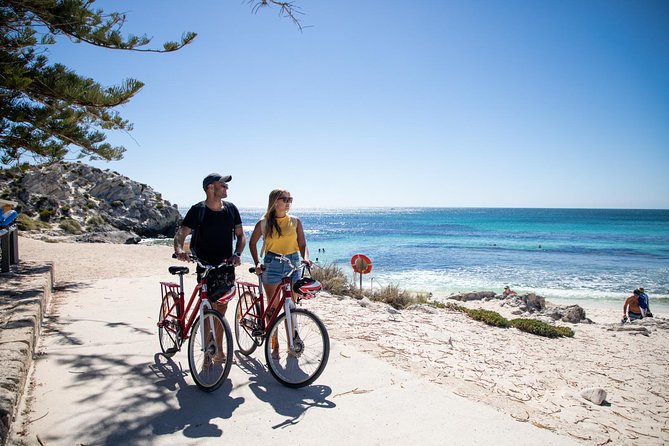 Experience Rottnest with Ferry & Bike Hire - Ferry Options and the Swan River Start That Sets the Mood
