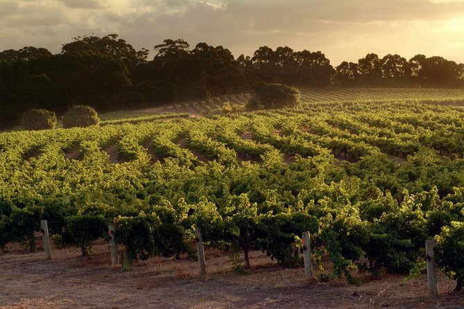 Flight to Leeuwin Winery for Lunch - Planning your lunch: what’s covered and what isn’t