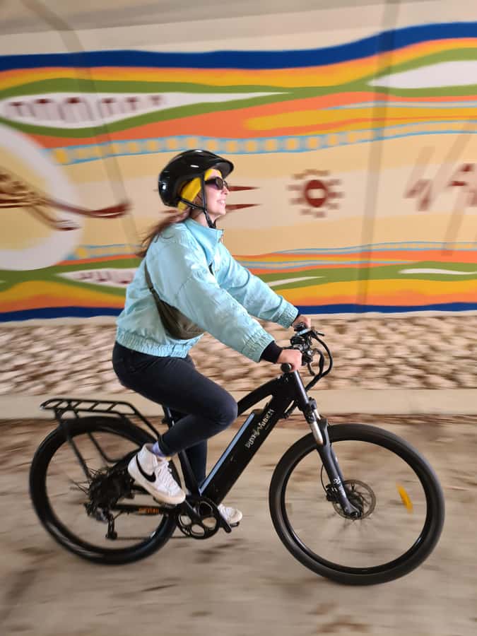 Fremantle: Historic Electric Bike Tour - Price and value: what $84 gets you in practice