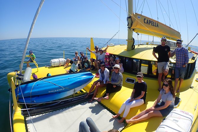 Fremantle Twilight Sail - Whale season tip: what to expect between September and November