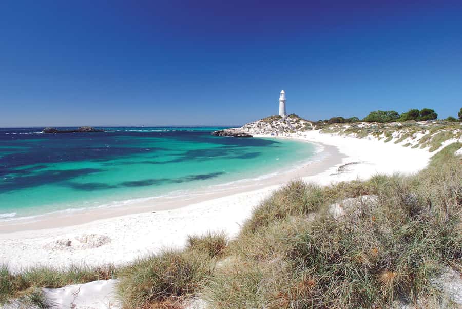 From Fremantle: Rottnest Island Ferry and Bike Day Tour - Price and Value: Is $87 Good, or Just Expensive?