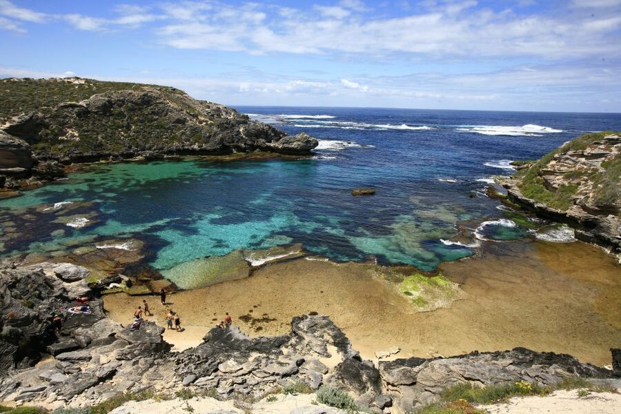 From Fremantle: Rottnest Island Ferry & Bus Day Tour - Should you book this From Fremantle Rottnest ferry & bus day tour?
