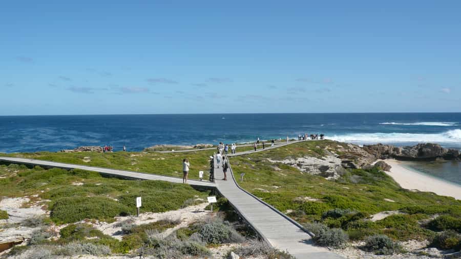From Fremantle: Rottnest Island Ferry & Bus Day Tour - Quokkas, beaches, and Wadjemup Lighthouse: what you’re aiming to see