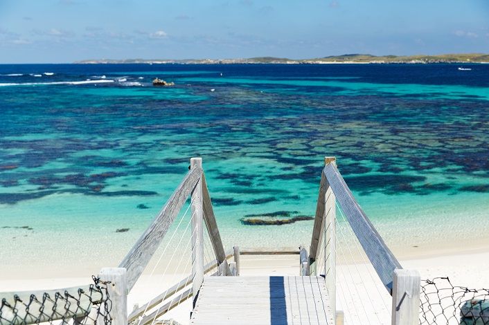 From Fremantle: Rottnest Island Ferry & Bus Day Tour - Free time on Rottnest: bikes, swimming, and where to spend your hours