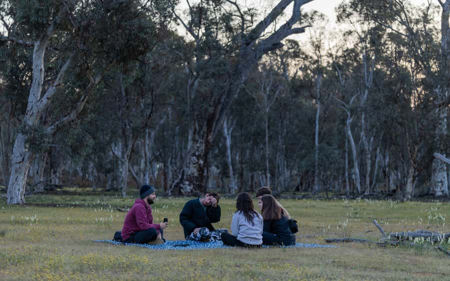 From Perth: Australian Animal Night Safari - Barna Mia Wildlife Sanctuary night walk for endangered mammals