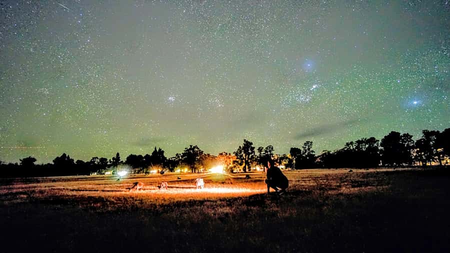 From Perth: Australian Animal Night Safari - What to bring (and what not to bring) for a smooth night