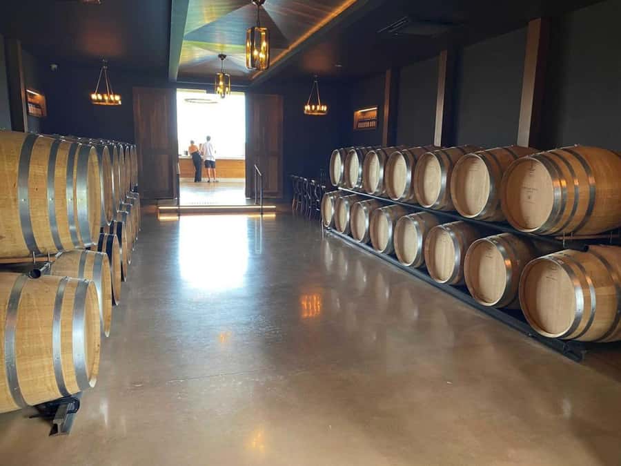 From Perth: Full-Day Margaret River Wine Tastings & Lunch - Key Highlights You’ll Actually Feel