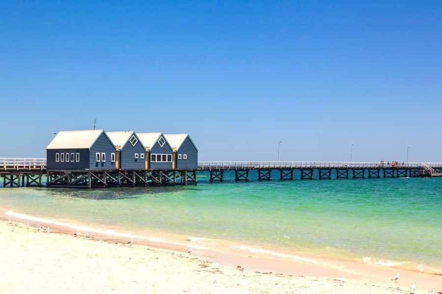 From Perth: Full-Day Margaret River Wine Tastings & Lunch - Boutique Cellar Doors: Wine Tastings in the Margaret River Style