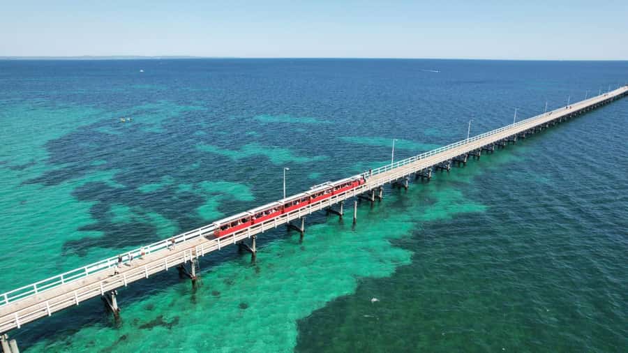 From Perth: Margaret River Region Impression Day Tour - Perth to Margaret River in 12 hours: what the pace feels like