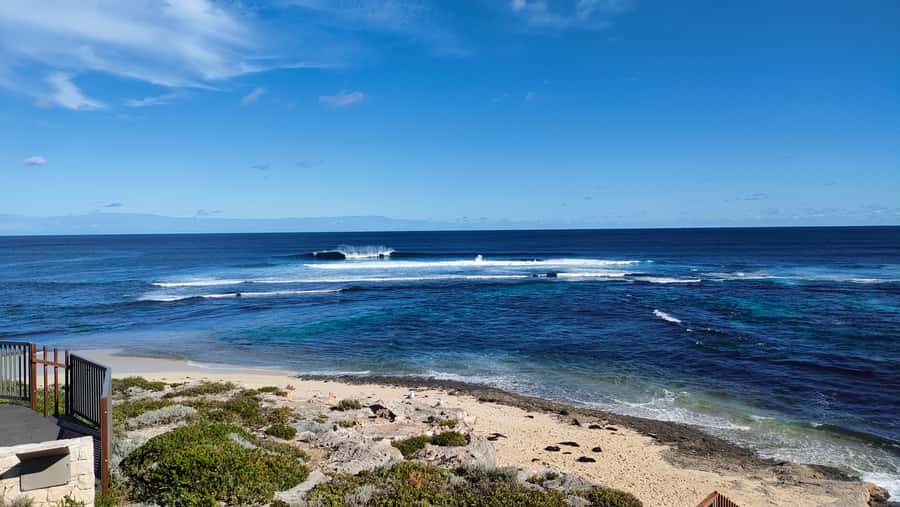 From Perth: Margaret River Region Impression Day Tour - Boranup Karri Forest walk: tall trees and a cooler pace